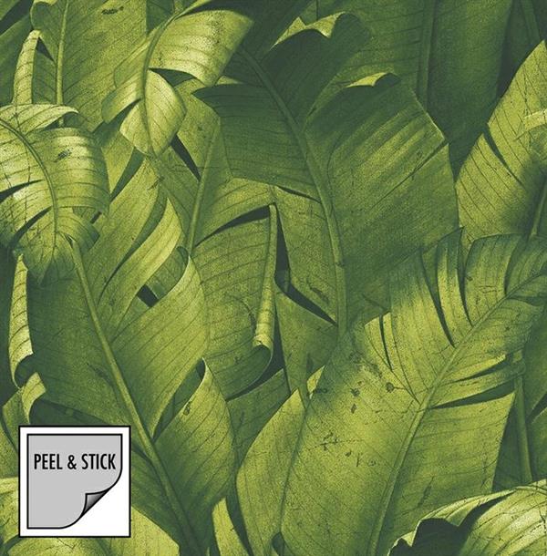 PEEL&STICK PARATO ADESIVO NW31000 TROPICAL LEAVES 5,48X0,52 mt