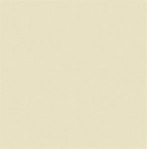 VALENCIA PARATO TNT TINTUNITA BEIGE 10x0,53mt  A