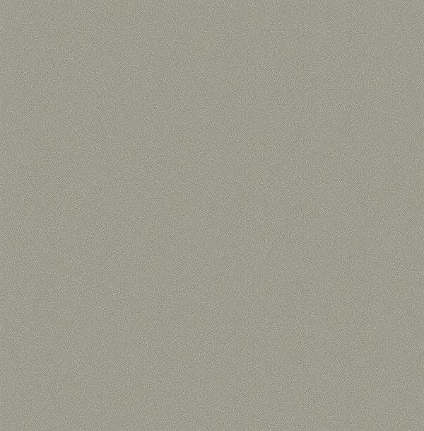 VALENCIA PARATO TNT TINTUNITA GRIGIO SCURO 10x0,53mt  A