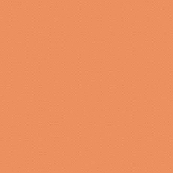 PARATO ESP/TNT ESPRIT KIDS 2