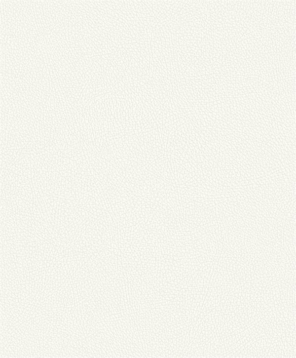 GLORIA PARATO TNT TINTA ITA AVORIO 10x0,53mt