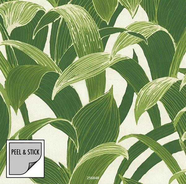 PEEL&STICK PARATO ADESIVO NW31300 BANANA LEAVES 5,48X0,52 mt