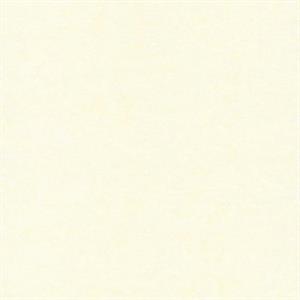COULEURS&MATIERES 2 PARATO TNT MATERICO PERLA 10x0,53mt