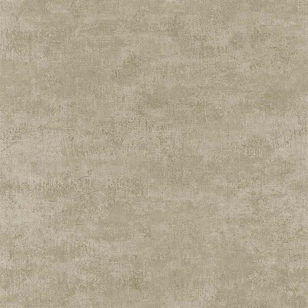 COULEURS&MATIERES 2 PARATO TNT EFF. MURO GRIGIO 10x0,53 mt