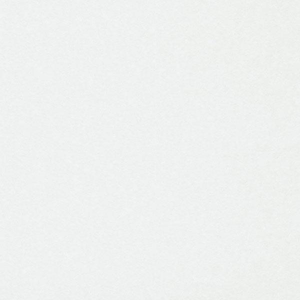 ROLLOVER C.PARATO TNT   VERNICIABILE 25X1,06MT 150GR